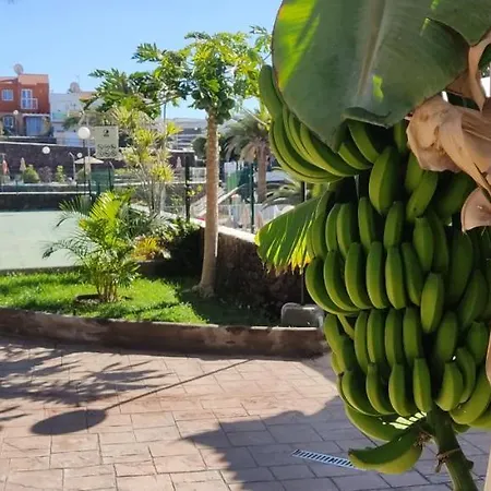 Casa Armonía Del Sol *